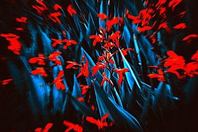 崖边小镇探险《断崖的卡尔姆》上架Steam 2024年发行