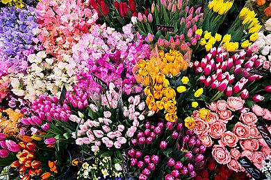 真人版罪案悬疑互动作品《幻面行者》Steam页面上线  支持中文