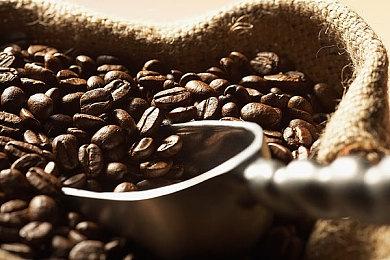 《恐龙小当家》boss展示介绍：山海经异兽猾褢！