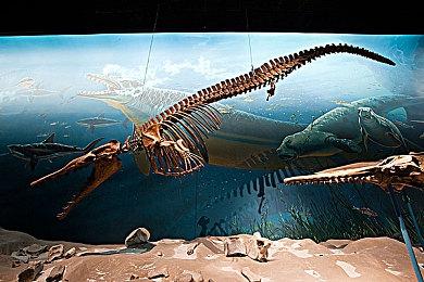 《英灵神殿》最新测试版登陆Steam 加入全新冰洞区域